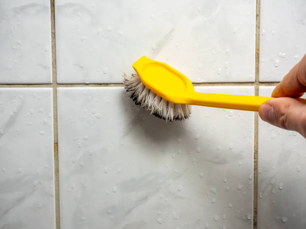 Best Professional Mold Removal  in Monticello, IL