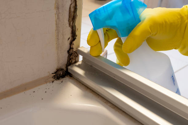 Best Emergency Mold Removal  in Monticello, IL